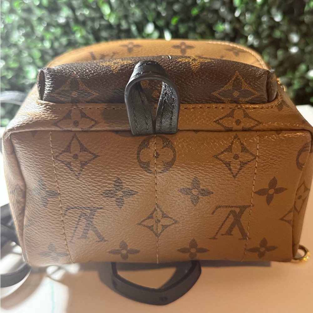 Louis Vuitton LV reverse Monogram Palm Springs Mini - Picture 12 of 16